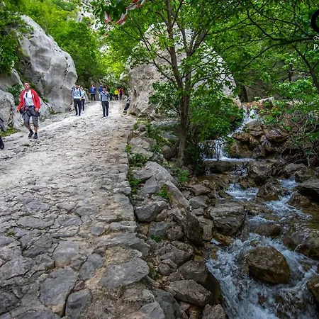 Adria With Seaview شقة